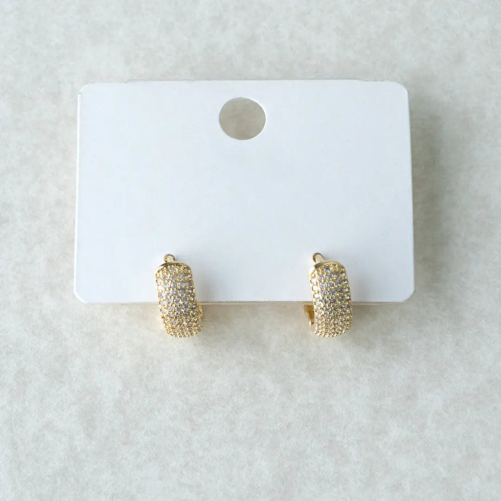 Huggie hoop earrings