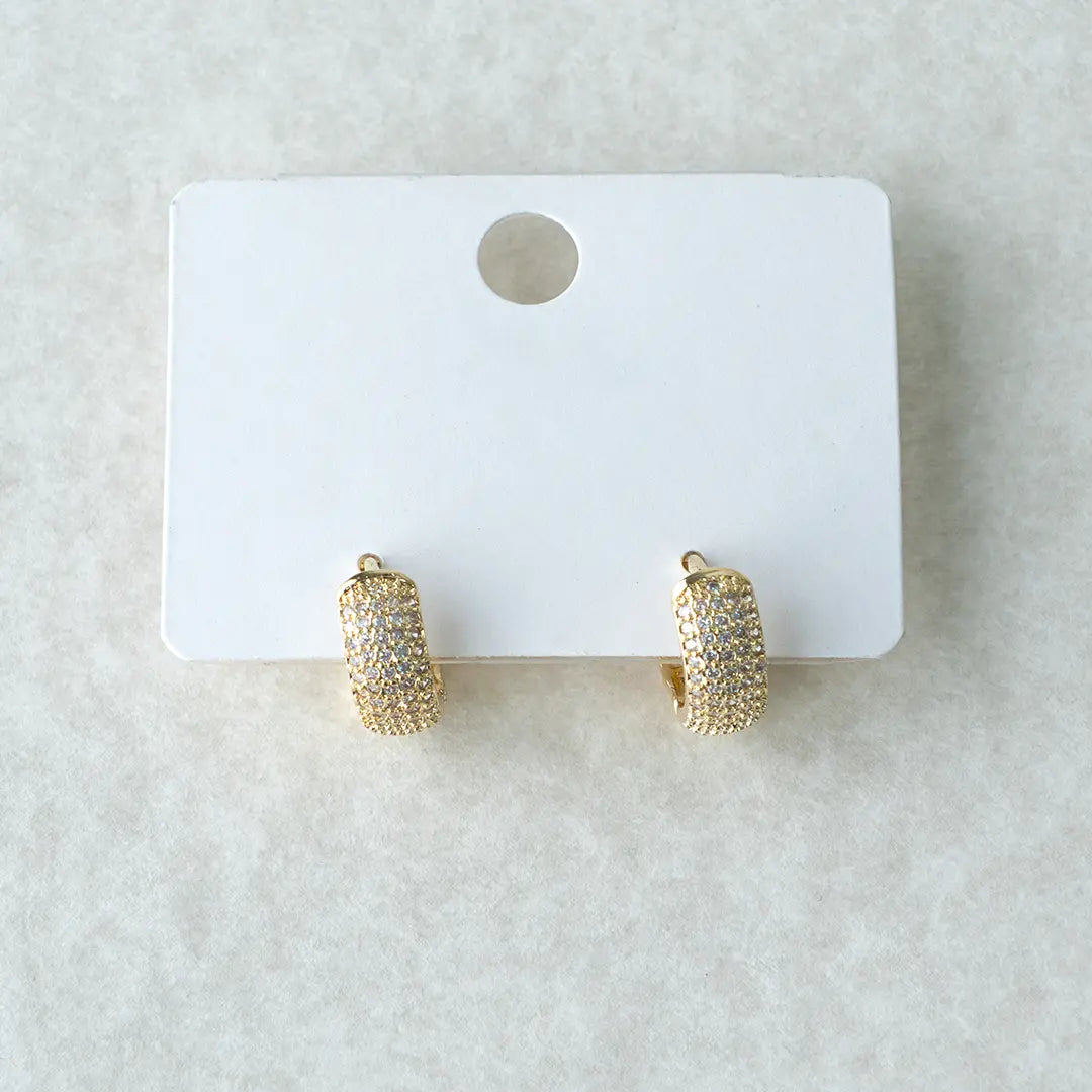 Huggie hoop earrings